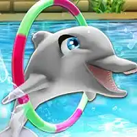 Dolphin Games